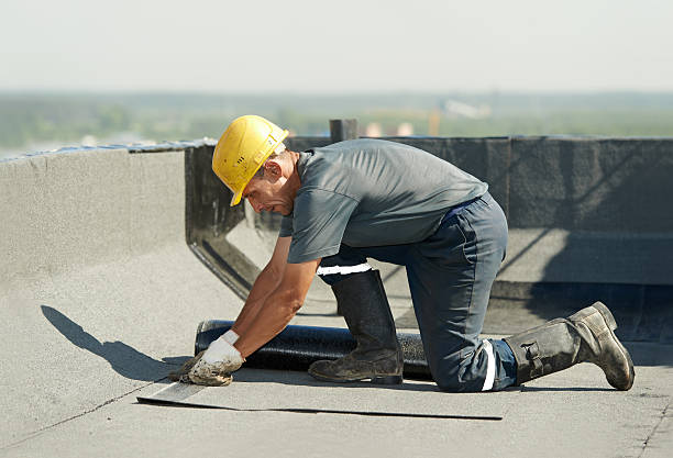 Best Insulation Maintenance and Repair in Monterey, TN