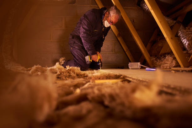 Best Insulation Installation Services in Monterey, TN